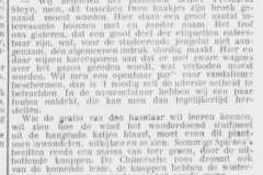 1928-02-21-Deventer-Dagblad