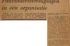 Padvindersverenigingen in een organisatie